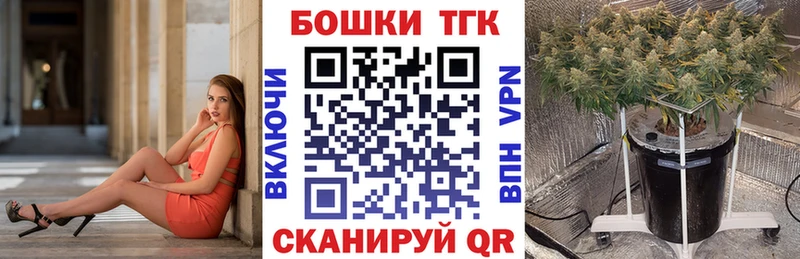 Где купить Гай Псилоцибиновые грибы  Мефедрон  Гашиш  Конопля 