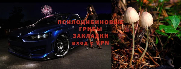 трава Беломорск