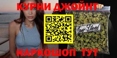 сатива Бийск