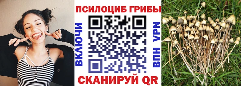 Псилоцибиновые грибы Magic Shrooms  Гай 