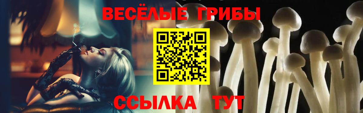 Галлюциногенные грибы Psilocybe Гай